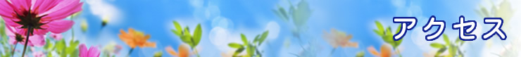 アクセス