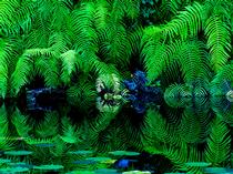写真教室 デイクラス