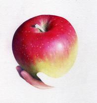 はじめての色えんぴつ画(木)